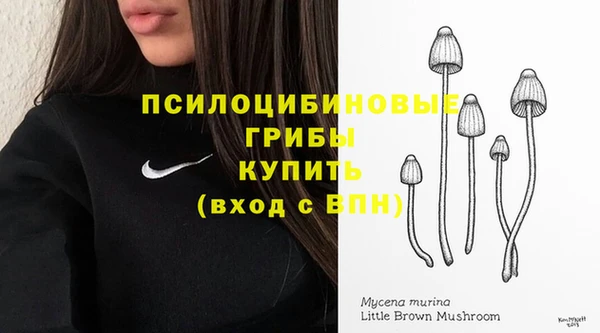 ECSTASY Новодвинск