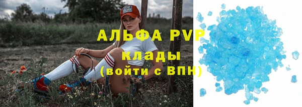 индика Новокубанск